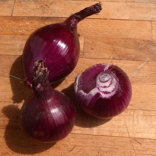 Oignon rouge /kg