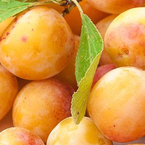 Mirabelles/kg