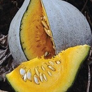 Potimarron kabocha/kg (Copie)
