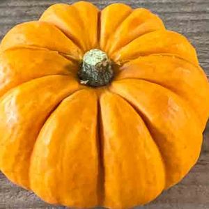 Courge jack be little/kg